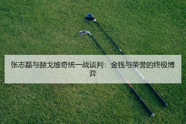 张志磊与赫戈维奇统一战谈判：金钱与荣誉的终极博弈